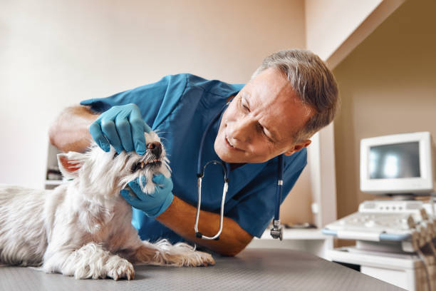 Best Emergency Gum Treatment in Yarrow Point, WA
